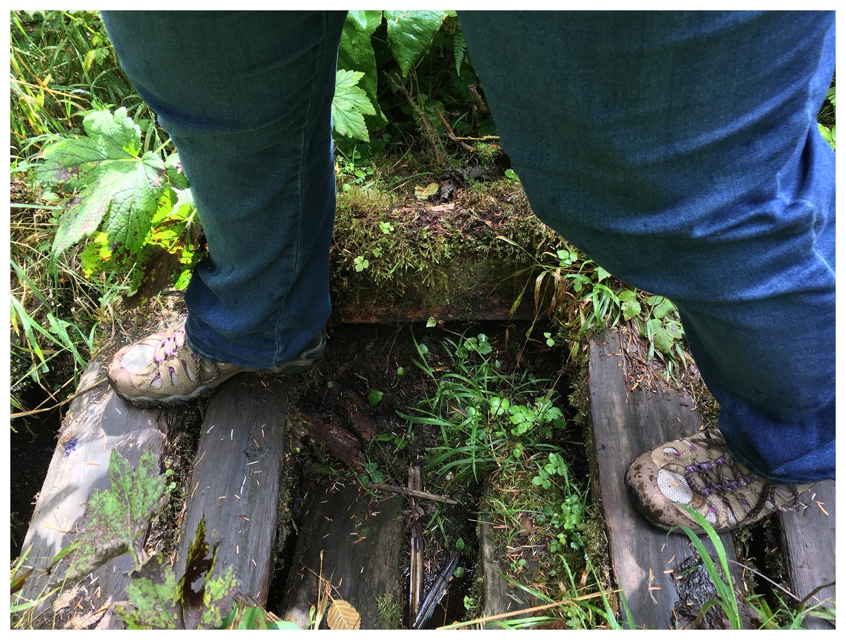 Broken Bridges Olympic National Park Washingston Pacific Northwest