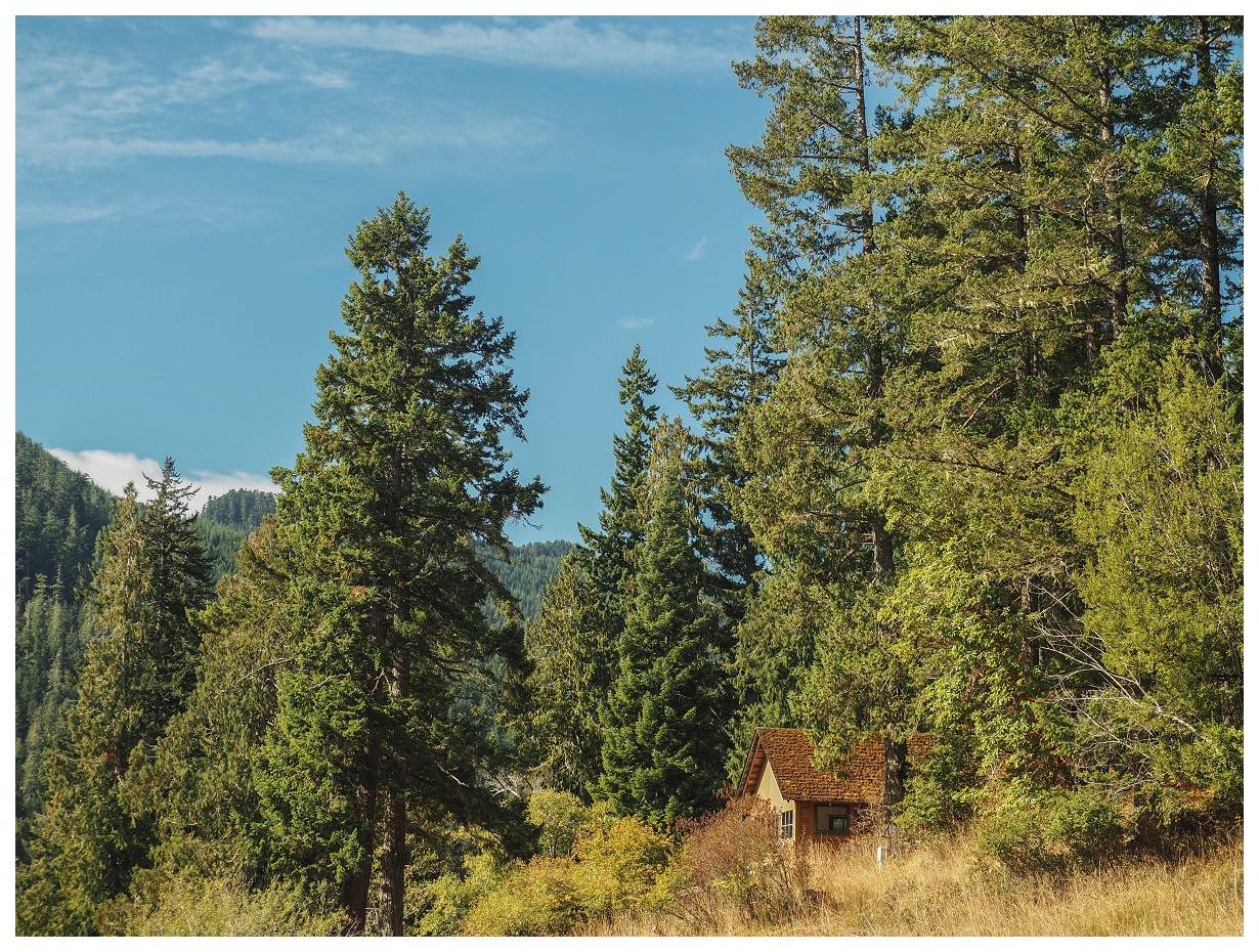 Cabin Olympic National Park Washington Pacific Northwest
