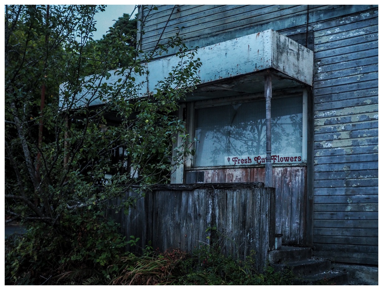 Abandoned Washington Pacific Northwest