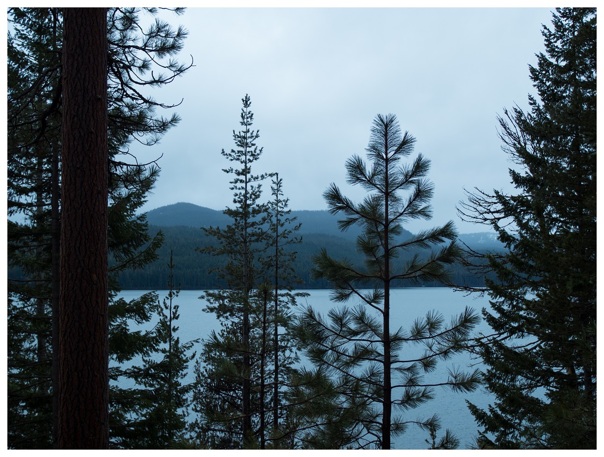 View of Odell Lake from Route 58