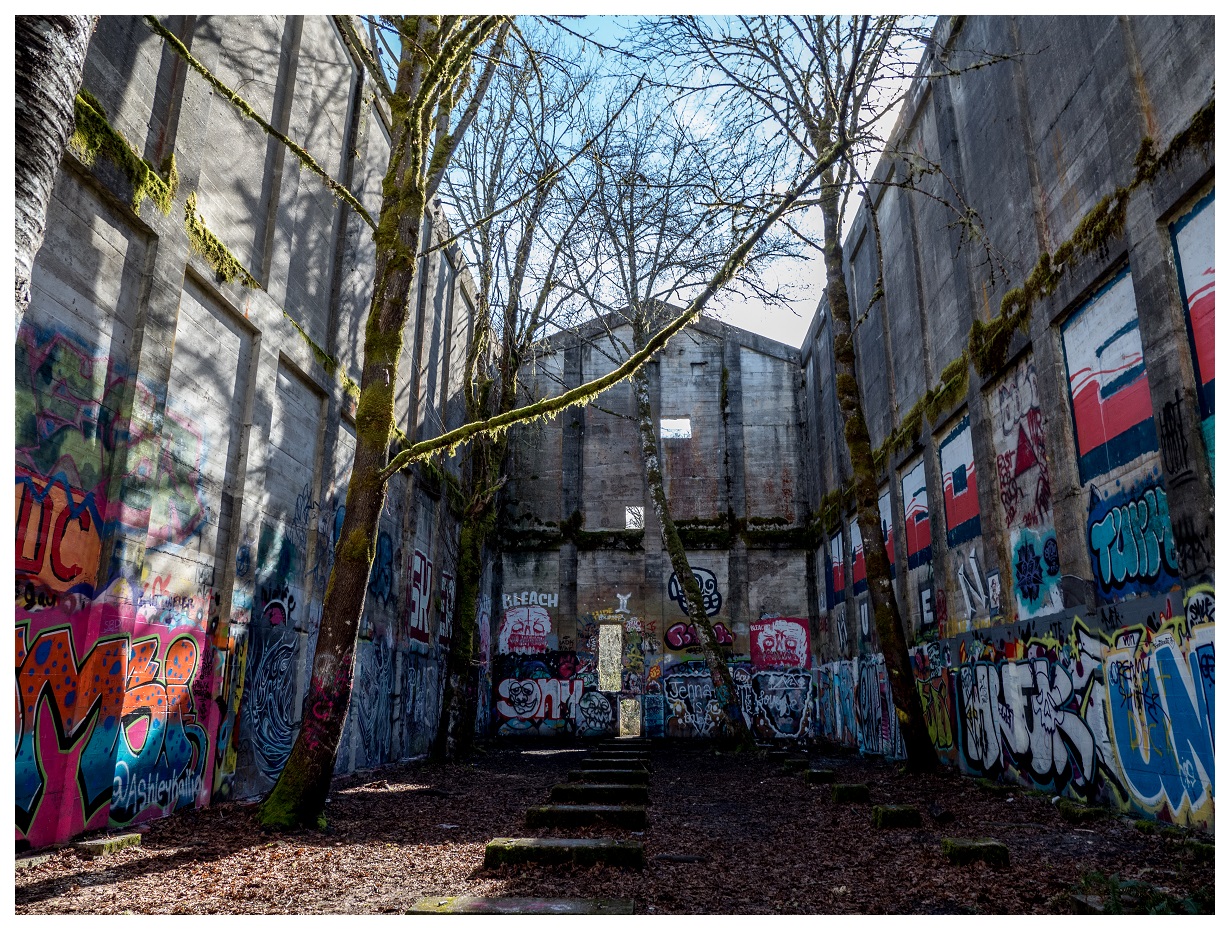 In the abandoned mill