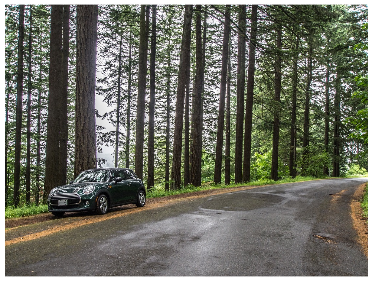 My Mini Cooper on Mt Tabor