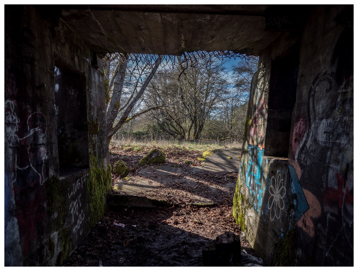 Tunnel abandoned Oregon