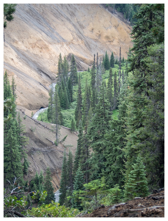 Godfrey Glen in Crater Lake National Park