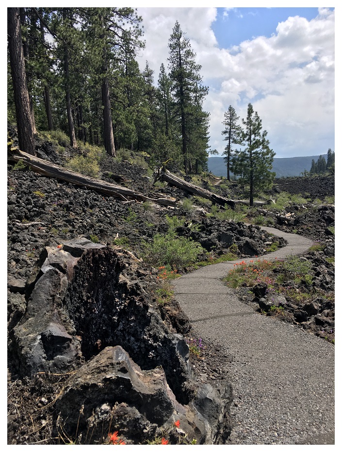 Path through Lava Cast Forest