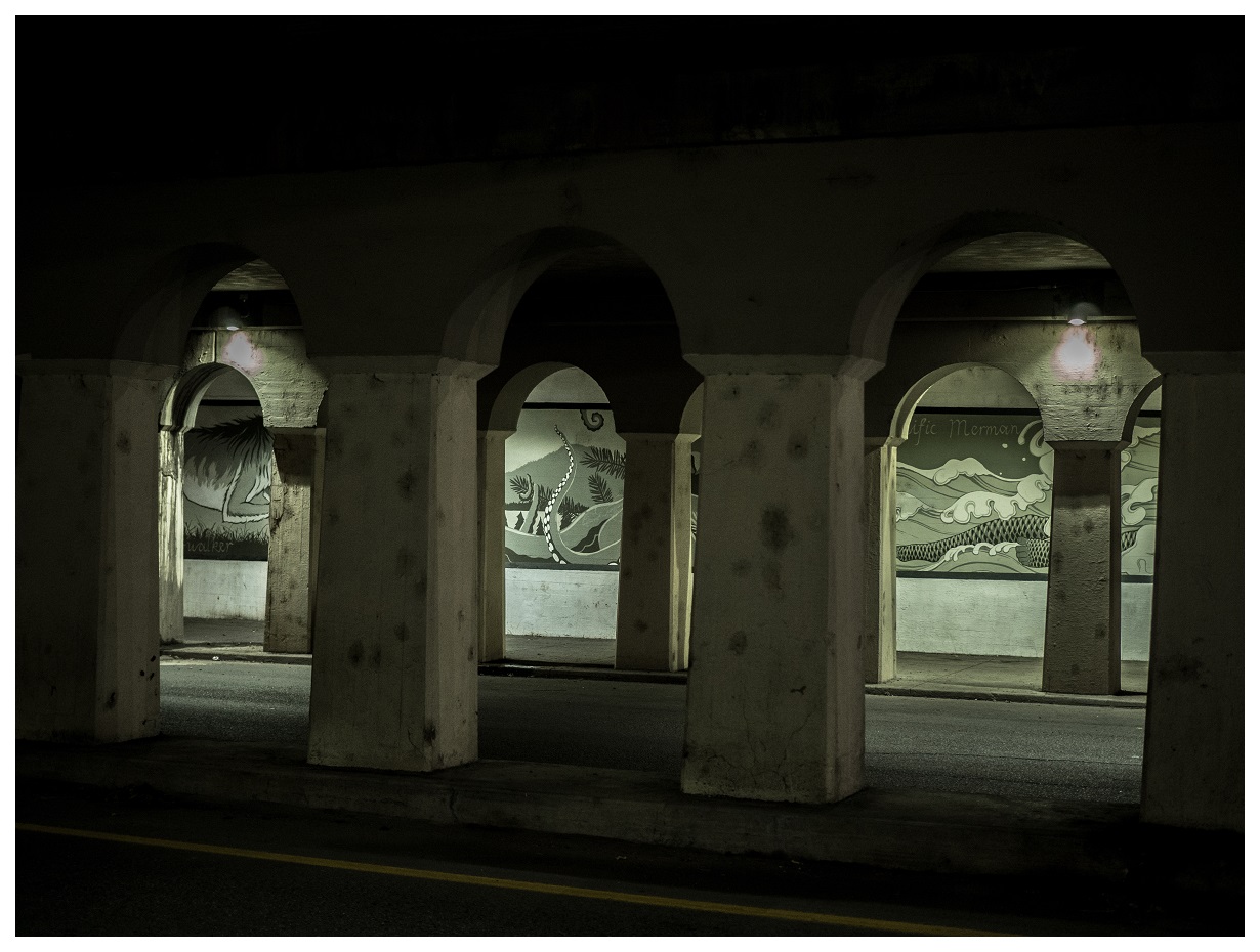 cryptid cryptozoology