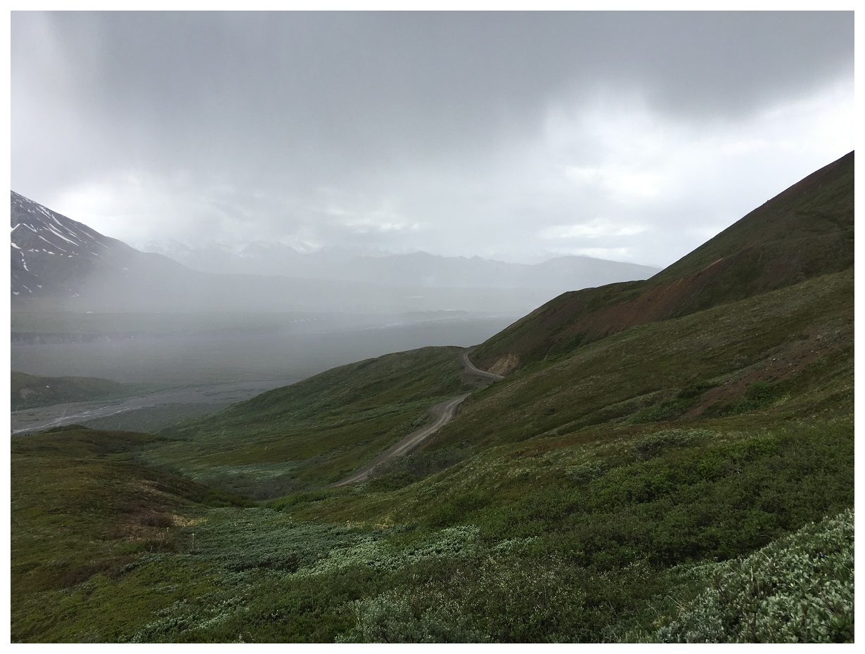 rain mist tundra nature