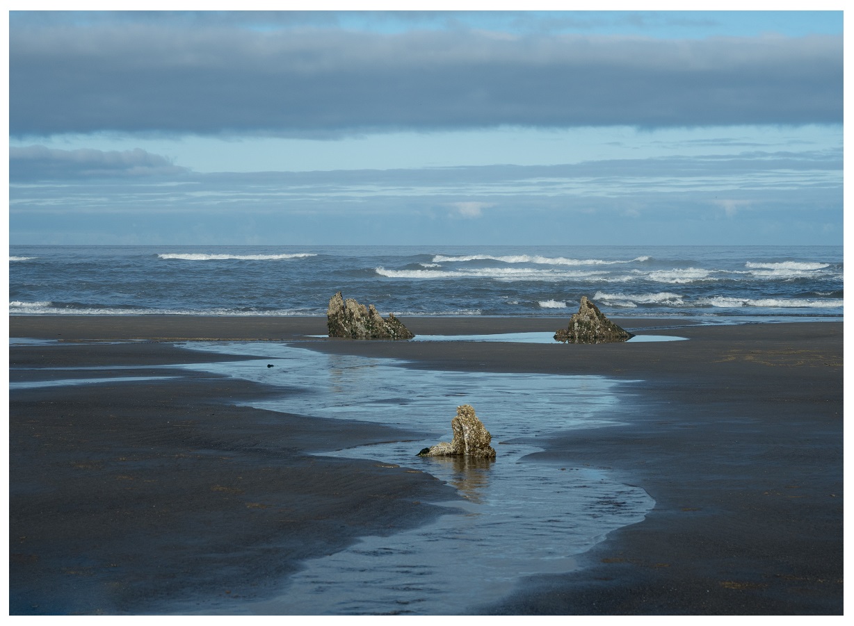 Ocean Behind The Ghost Forest