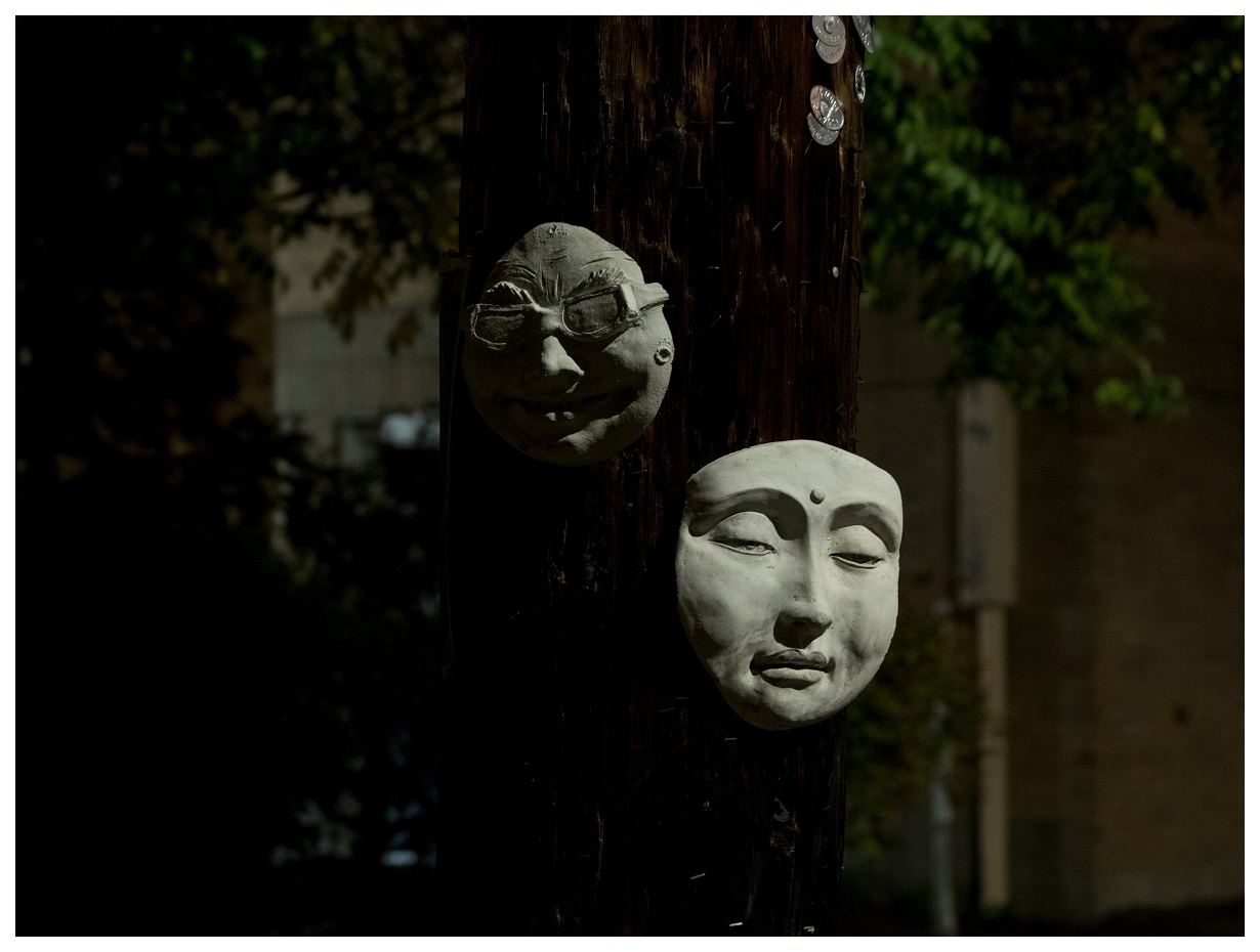 Masks on electrical poll